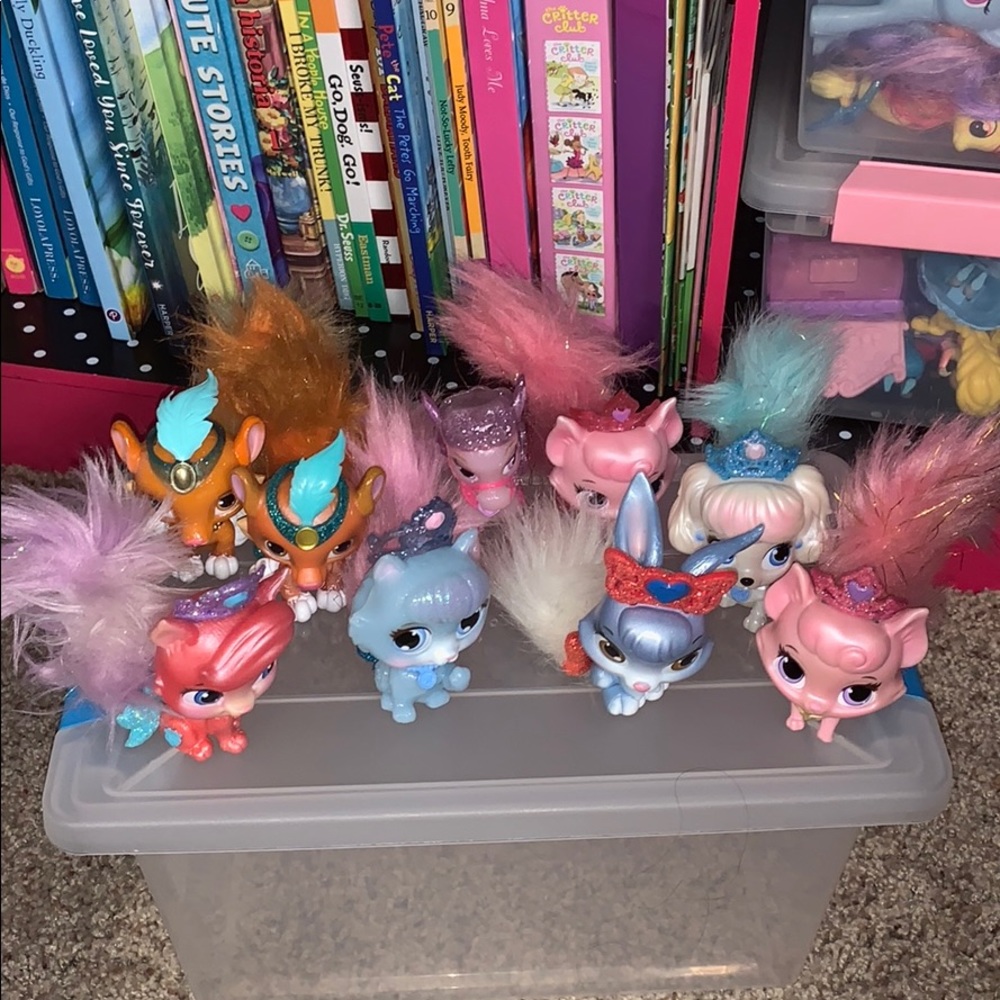 9 Palace pets. 💖